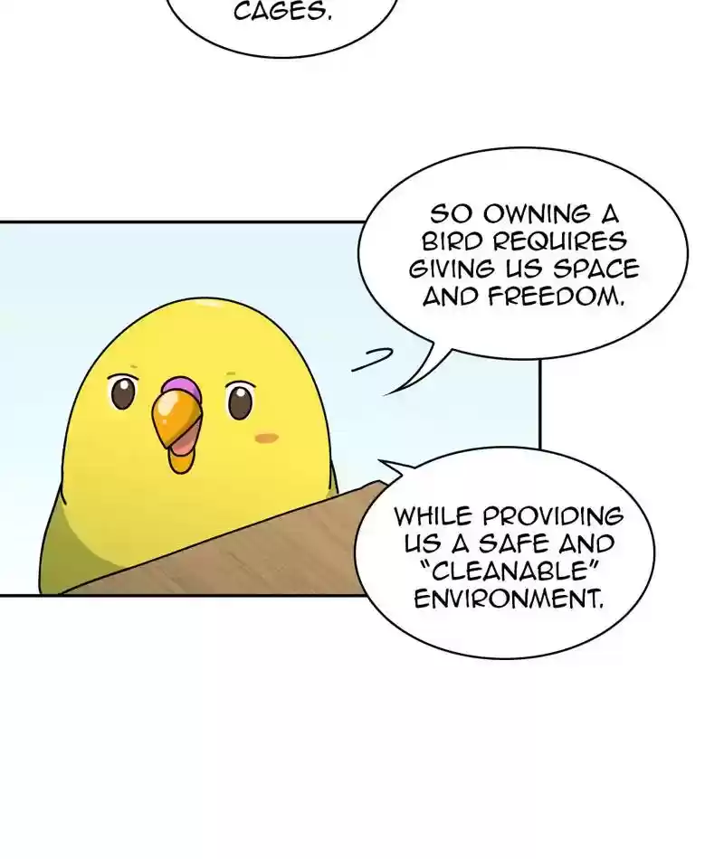 A Budgie's Life Chapter 310: Ep.309:
