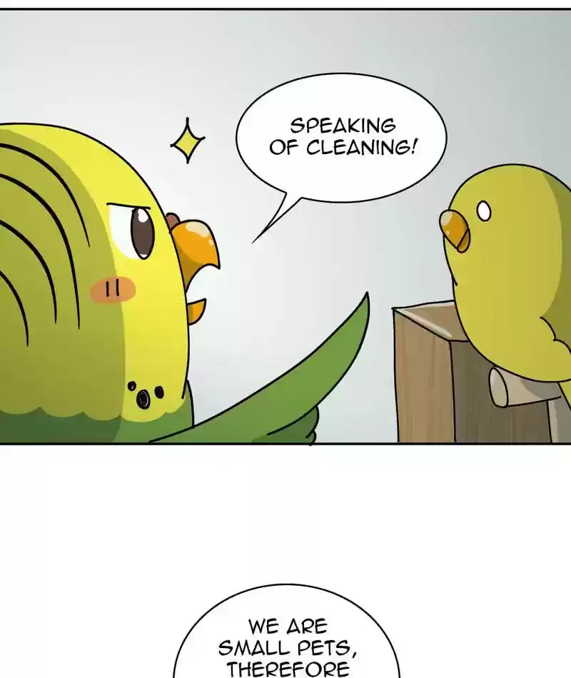 A Budgie's Life Chapter 310: Ep.309: