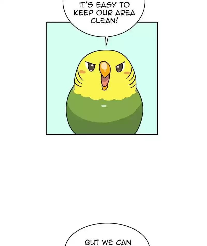 A Budgie's Life Chapter 310: Ep.309: