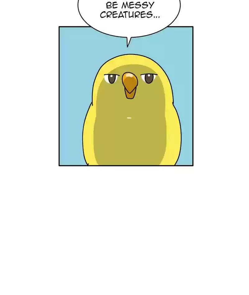 A Budgie's Life Chapter 310: Ep.309: