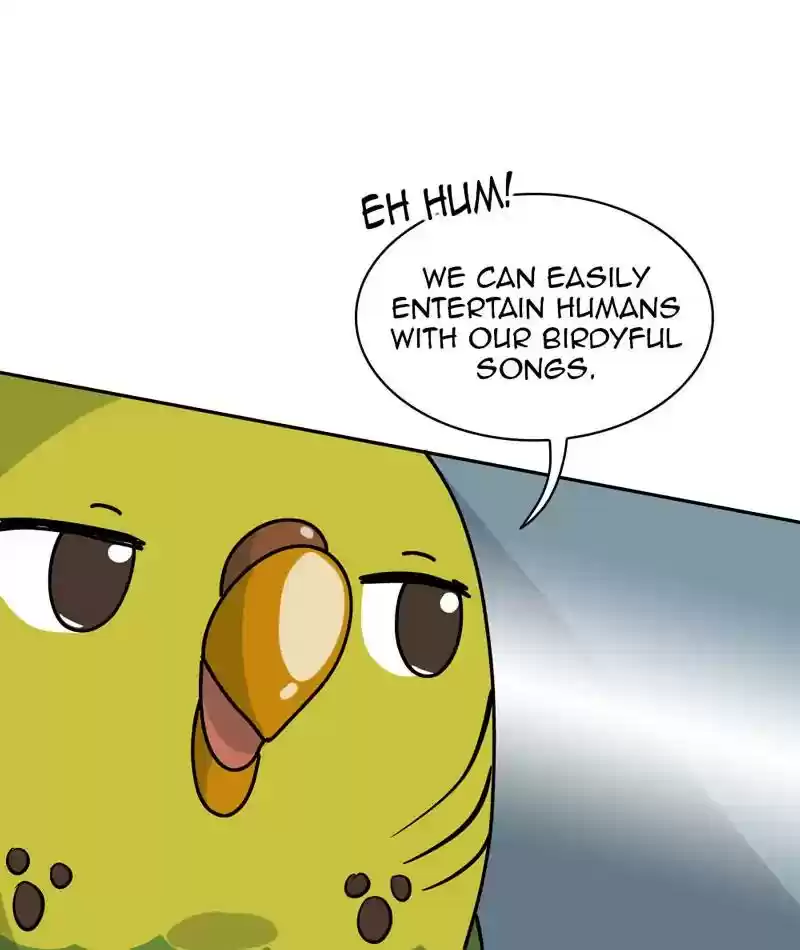 A Budgie's Life Chapter 310: Ep.309: