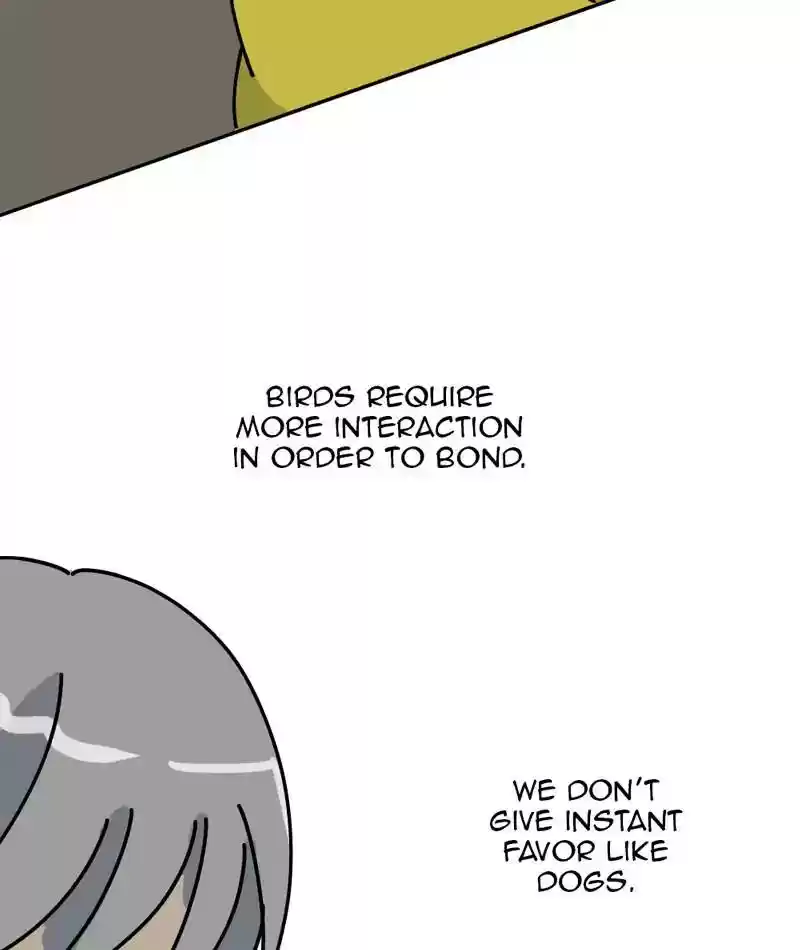 A Budgie's Life Chapter 310: Ep.309: