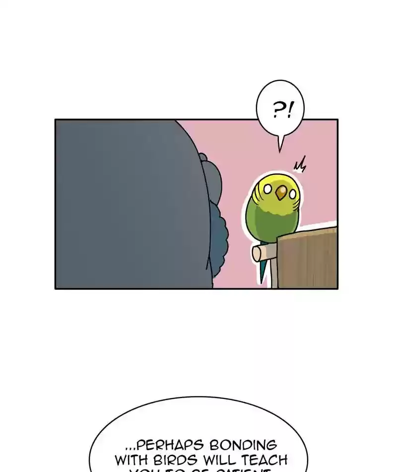 A Budgie's Life Chapter 310: Ep.309: