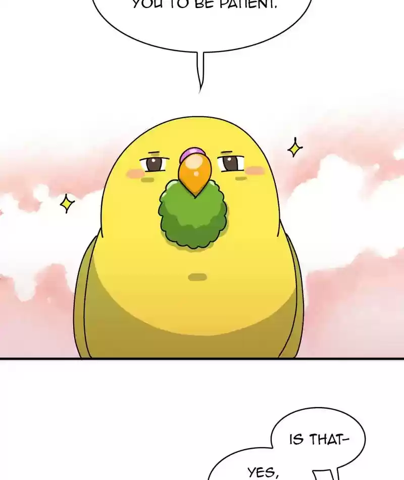 A Budgie's Life Chapter 310: Ep.309: