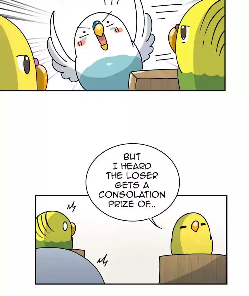 A Budgie's Life Chapter 310: Ep.309:
