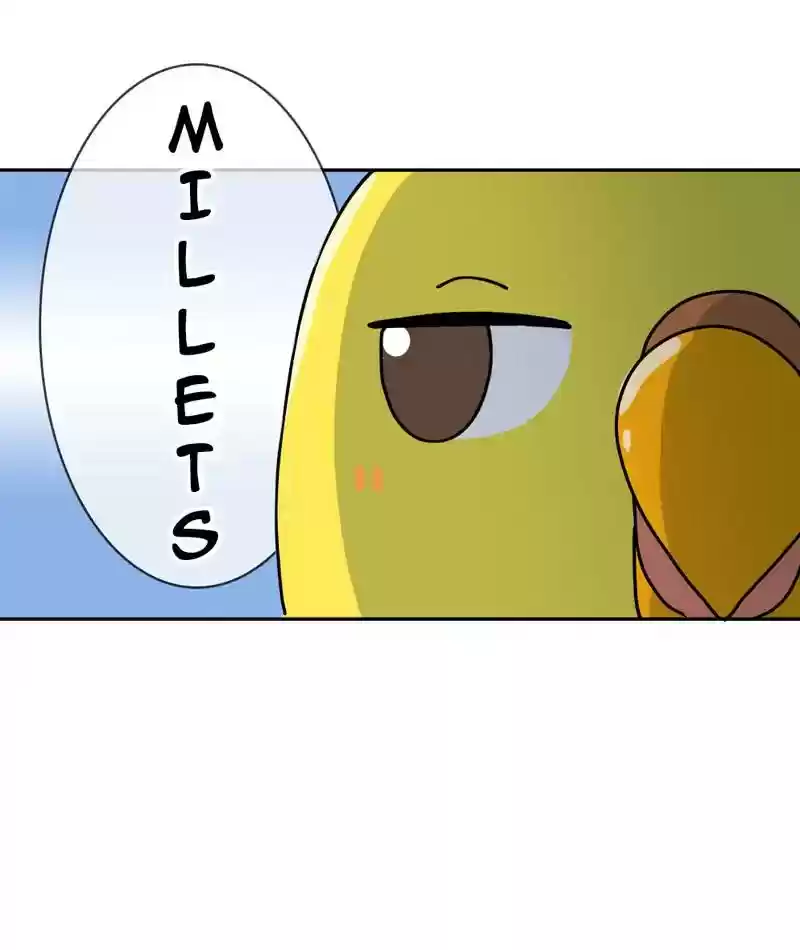 A Budgie's Life Chapter 310: Ep.309: