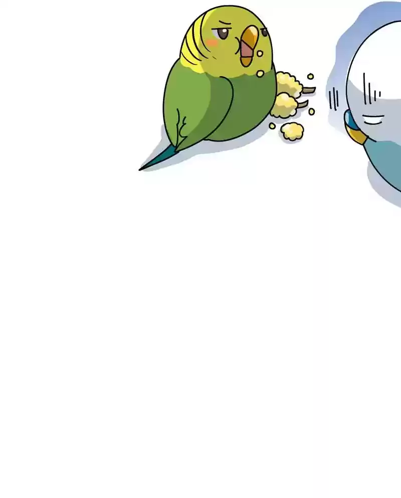 A Budgie's Life Chapter 310: Ep.309:
