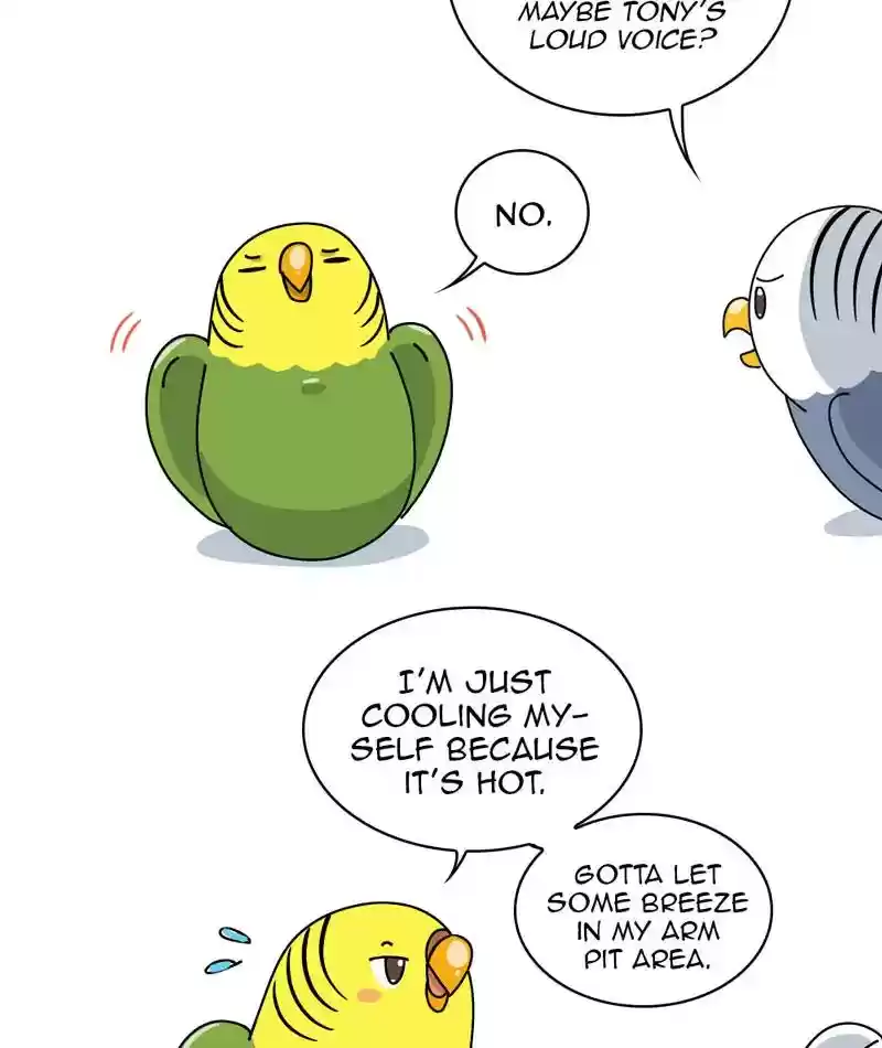 A Budgie's Life Chapter 311: Ep.310: