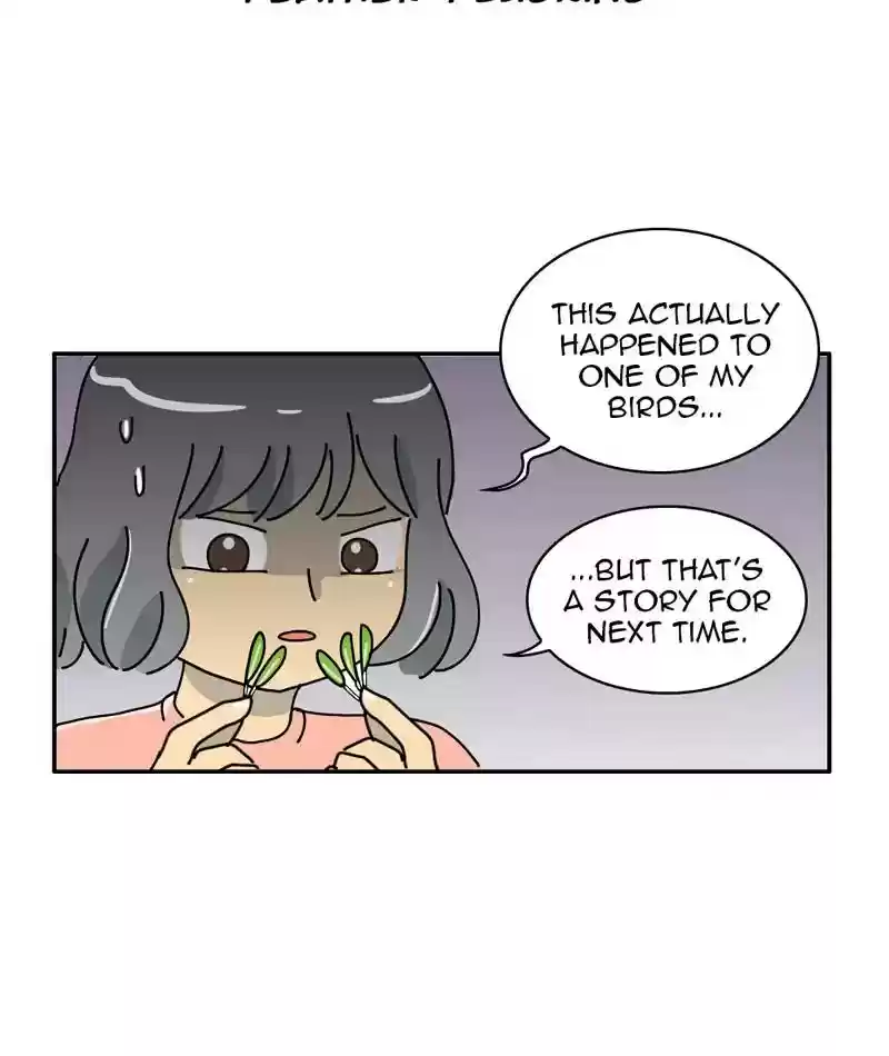 A Budgie's Life Chapter 311: Ep.310: