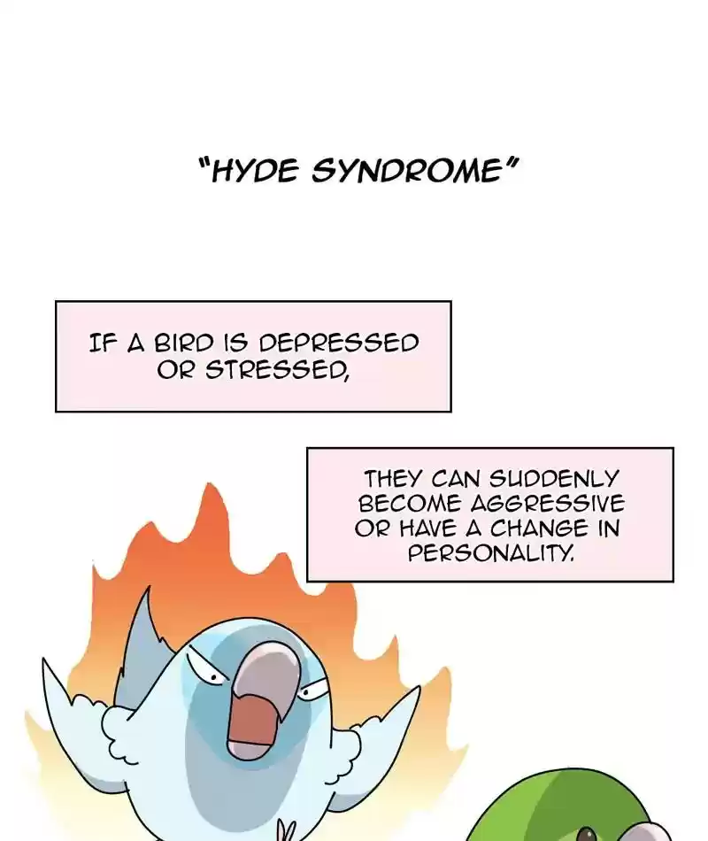 A Budgie's Life Chapter 311: Ep.310: