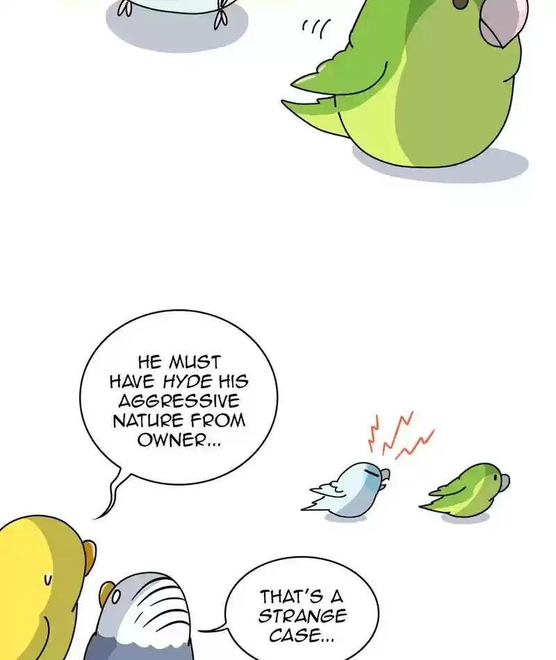 A Budgie's Life Chapter 311: Ep.310: