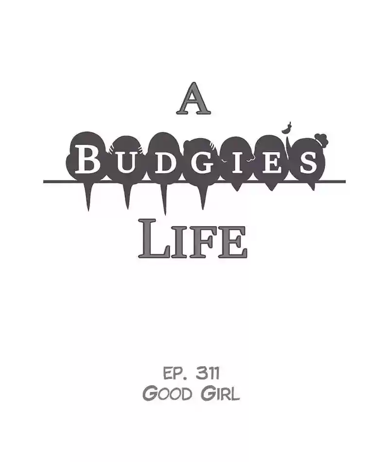 A Budgie's Life Chapter 312: Ep.311: