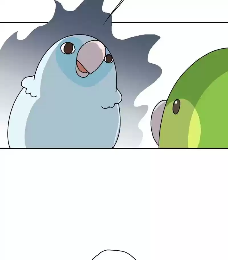 A Budgie's Life Chapter 312: Ep.311: