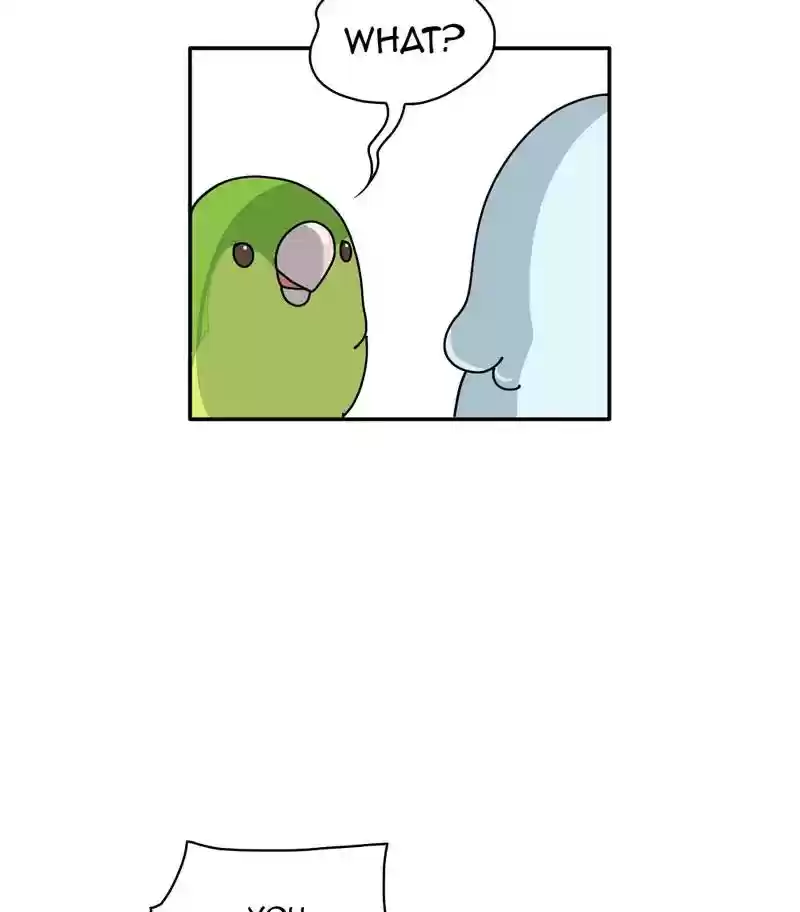 A Budgie's Life Chapter 312: Ep.311:
