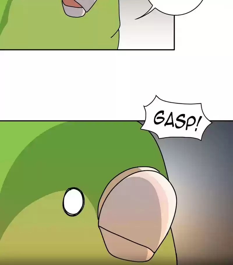 A Budgie's Life Chapter 312: Ep.311: