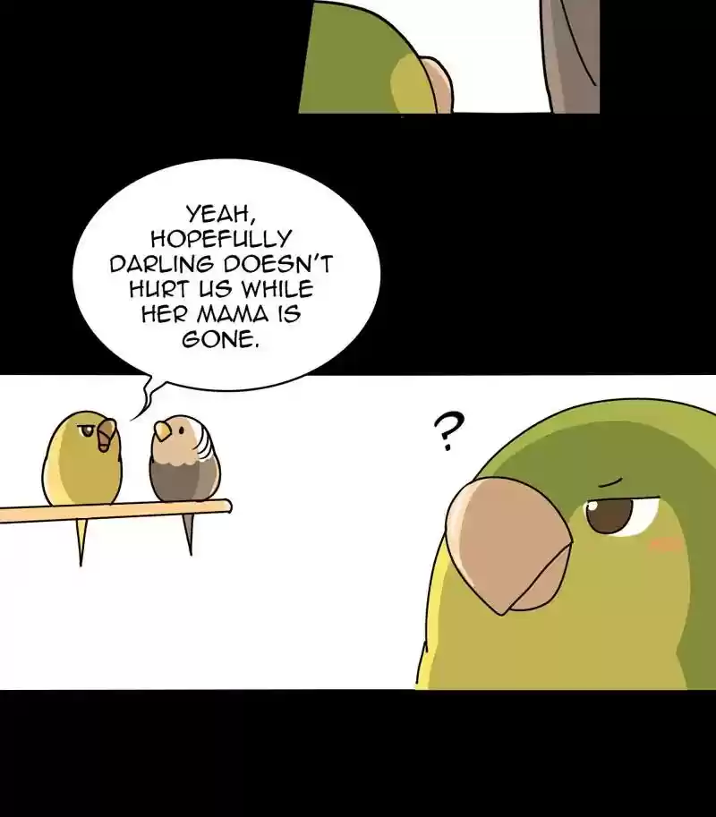 A Budgie's Life Chapter 312: Ep.311: