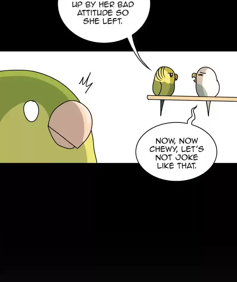 A Budgie's Life Chapter 312: Ep.311: