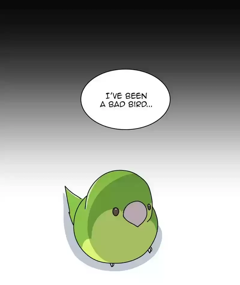 A Budgie's Life Chapter 312: Ep.311: