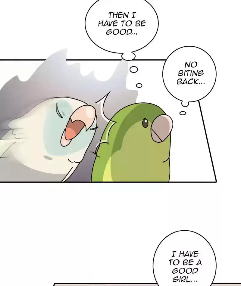 A Budgie's Life Chapter 312: Ep.311: