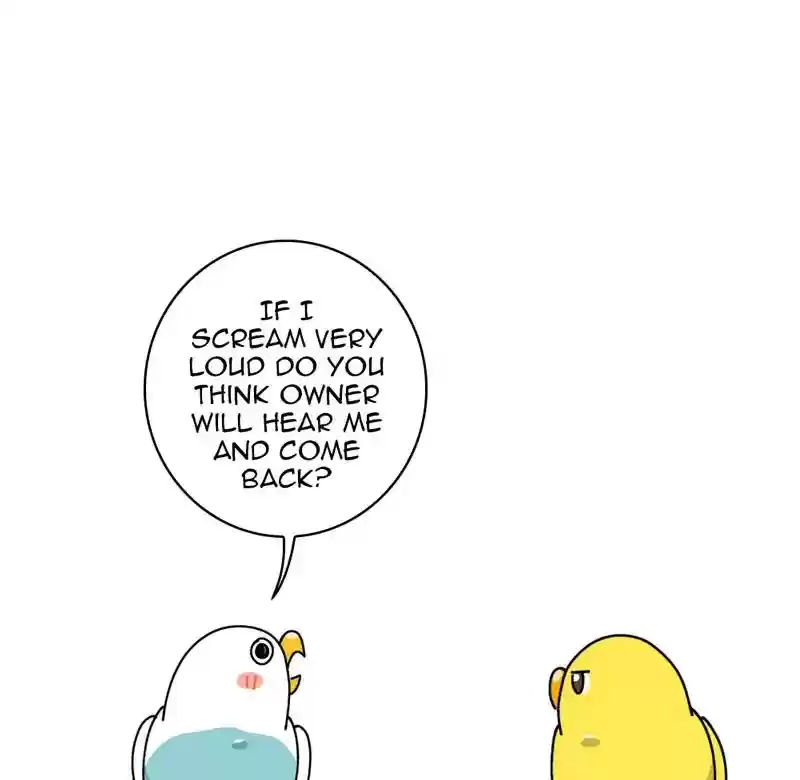 A Budgie's Life Chapter 312: Ep.311: