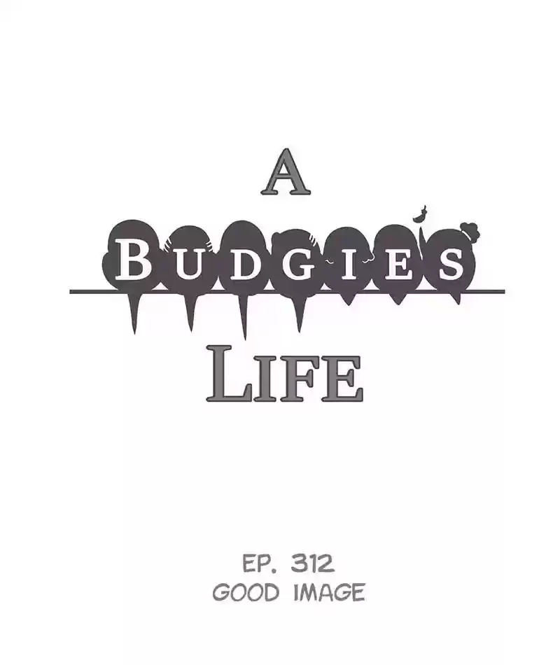 A Budgie's Life Chapter 313: Ep.312:
