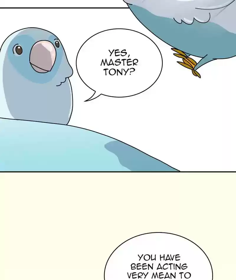 A Budgie's Life Chapter 313: Ep.312: