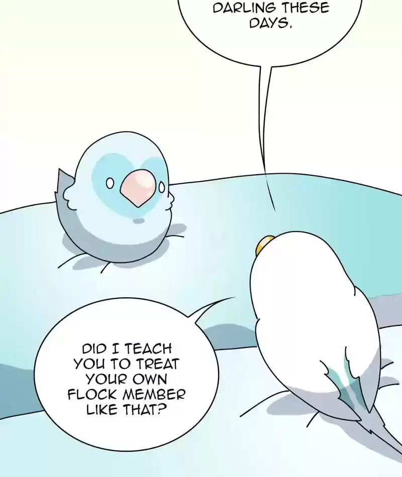 A Budgie's Life Chapter 313: Ep.312: