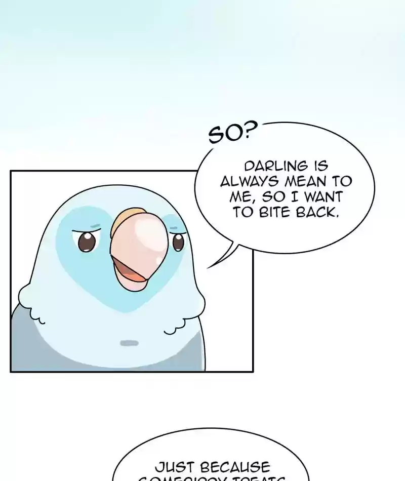 A Budgie's Life Chapter 313: Ep.312: