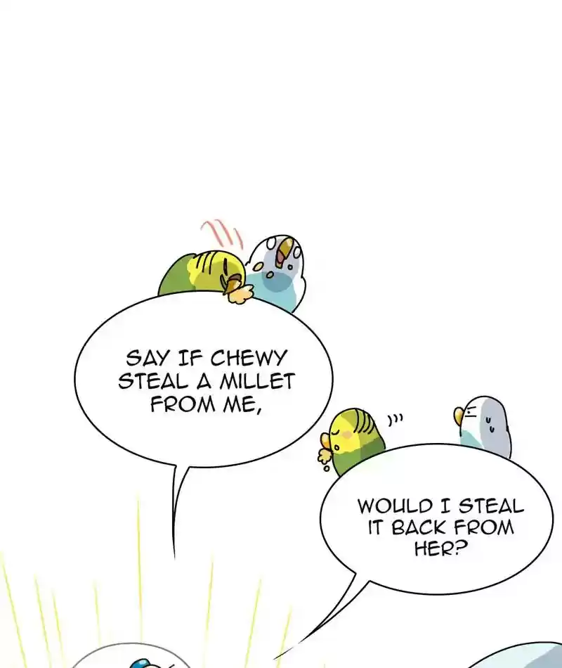 A Budgie's Life Chapter 313: Ep.312: