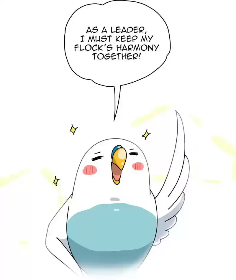 A Budgie's Life Chapter 313: Ep.312: