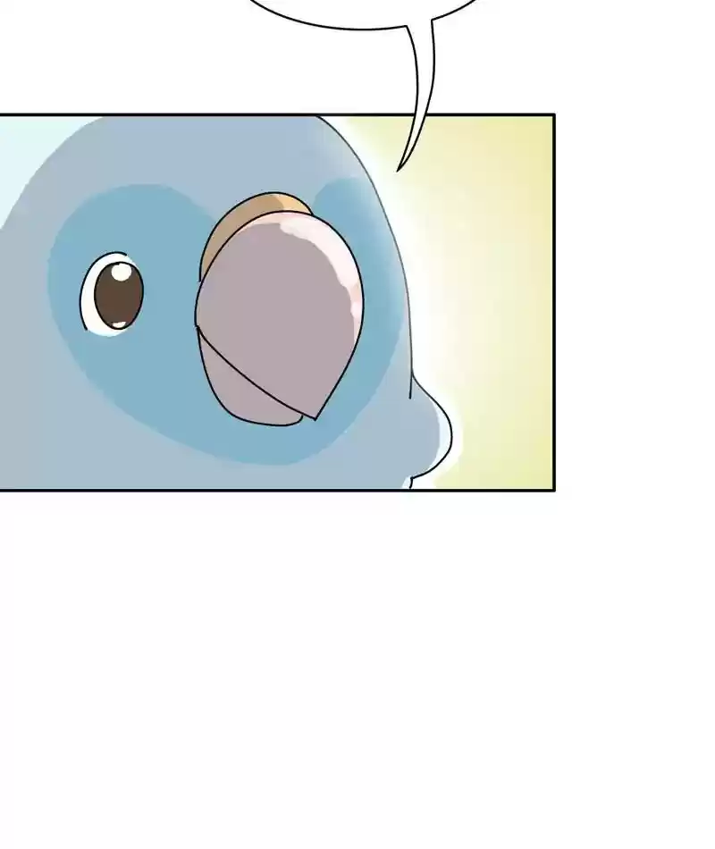 A Budgie's Life Chapter 313: Ep.312:
