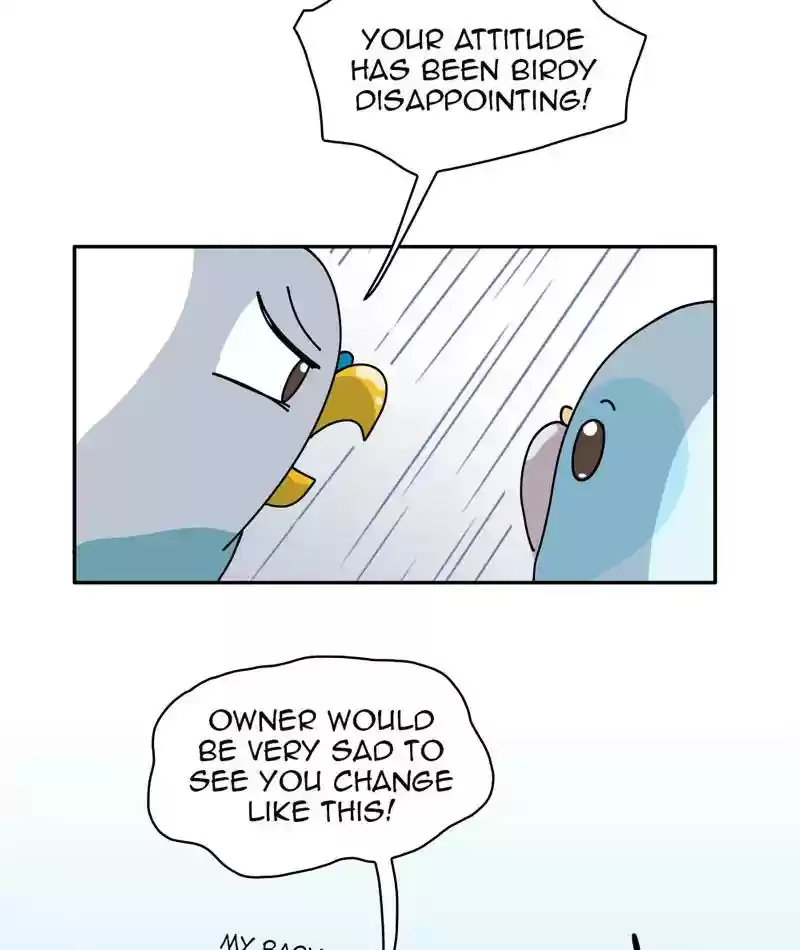 A Budgie's Life Chapter 313: Ep.312: