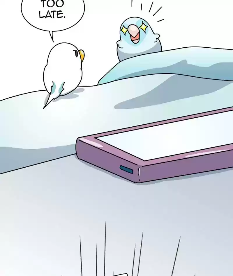 A Budgie's Life Chapter 313: Ep.312: