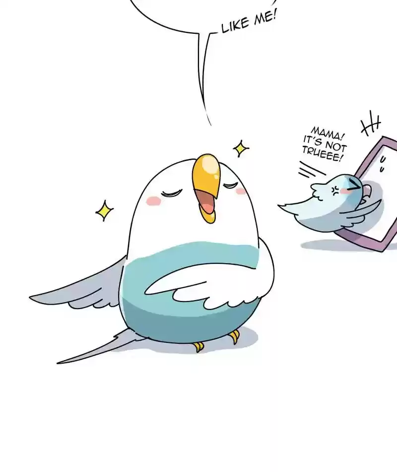 A Budgie's Life Chapter 313: Ep.312: