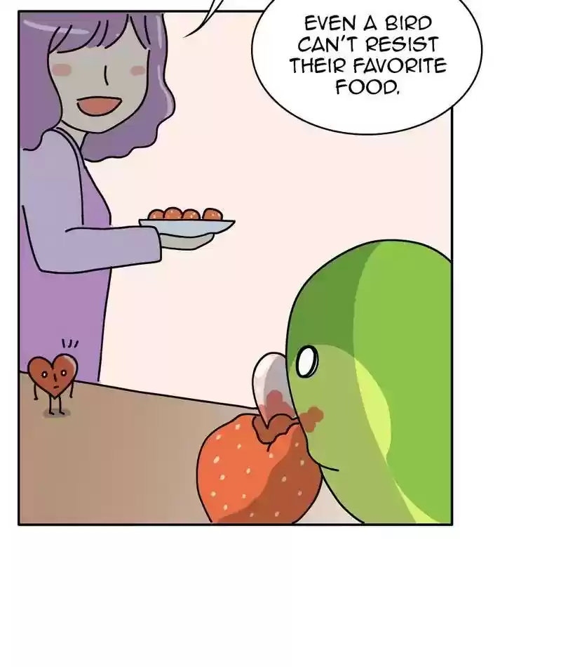 A Budgie's Life Chapter 314: Ep.313: