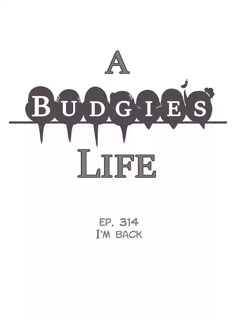 A Budgie's Life Chapter 315: Ep.314: