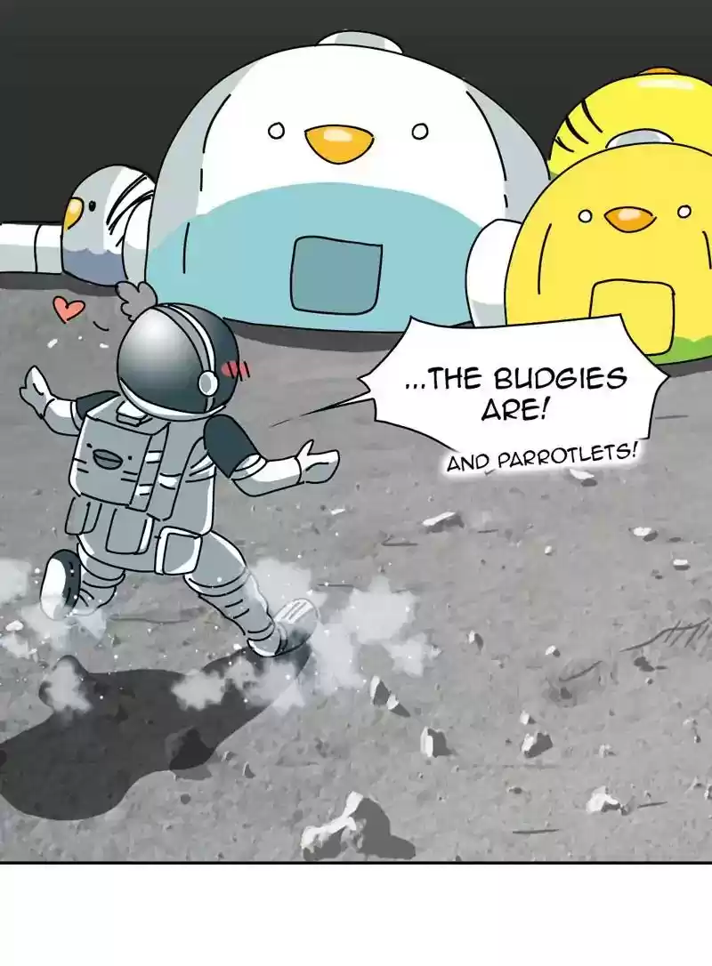 A Budgie's Life Chapter 315: Ep.314: