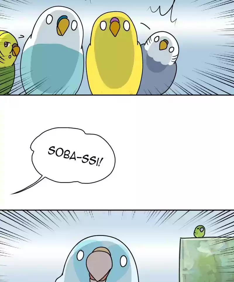 A Budgie's Life Chapter 315: Ep.314: