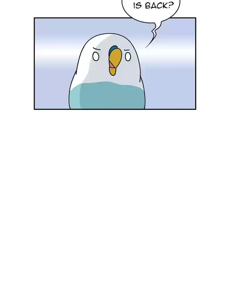 A Budgie's Life Chapter 315: Ep.314: