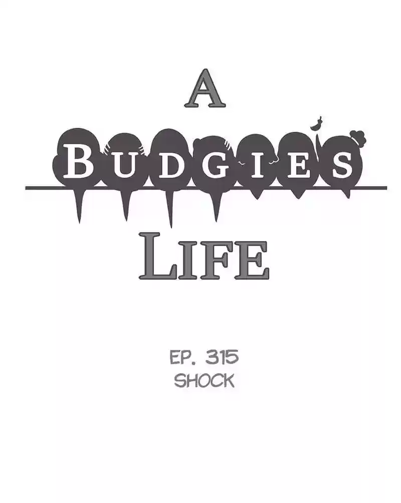 A Budgie's Life Chapter 316: Ep.315: