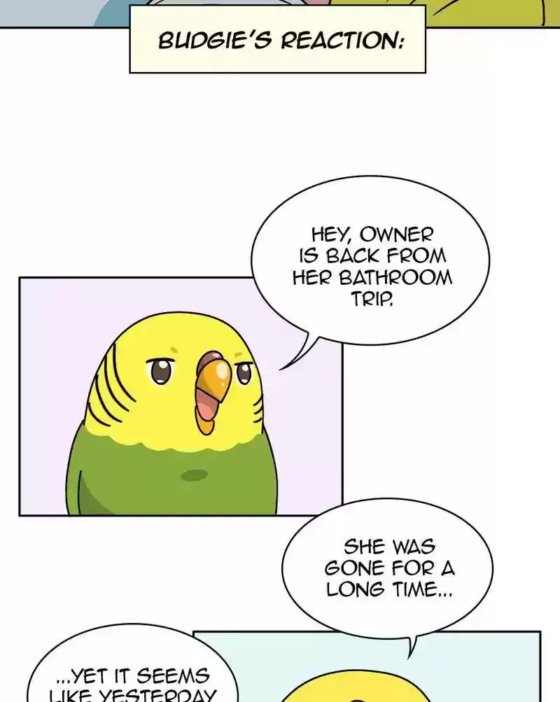 A Budgie's Life Chapter 316: Ep.315:
