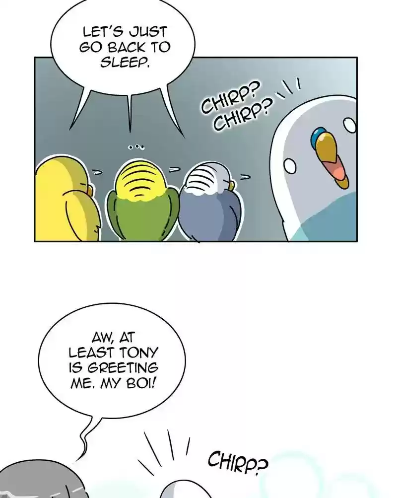 A Budgie's Life Chapter 316: Ep.315: