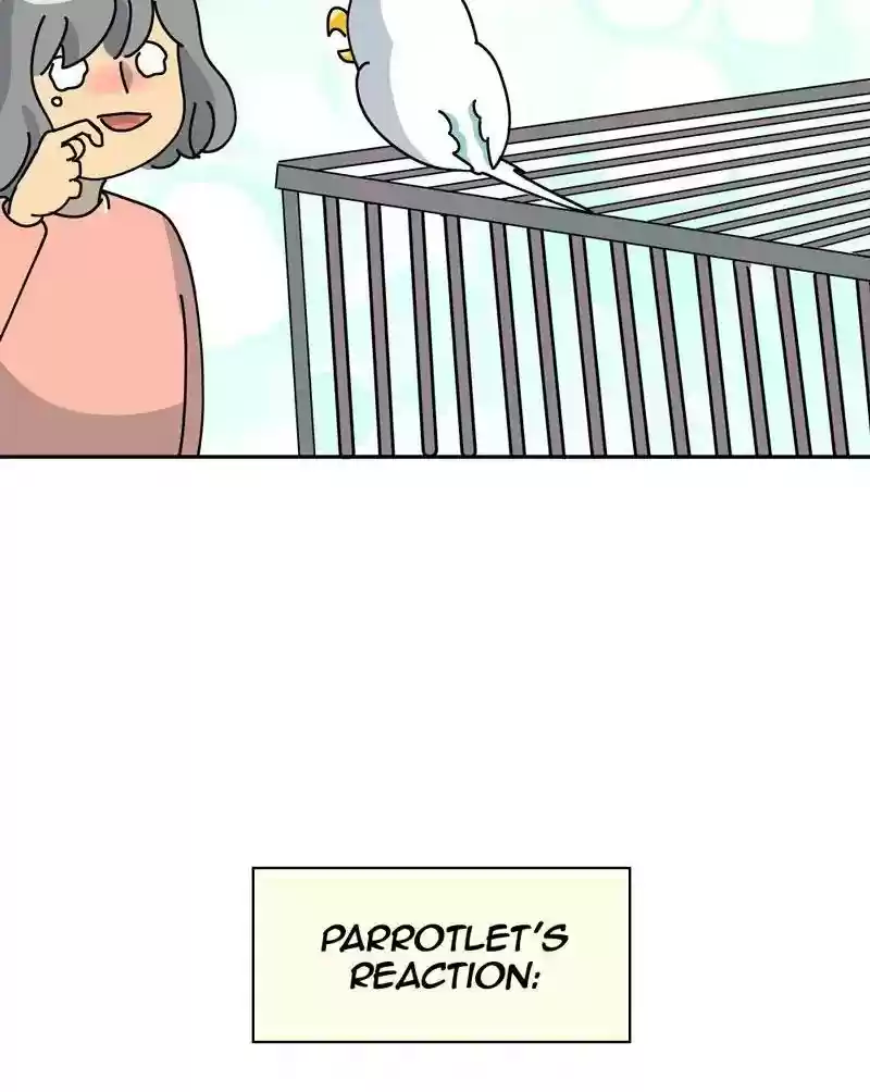 A Budgie's Life Chapter 316: Ep.315: