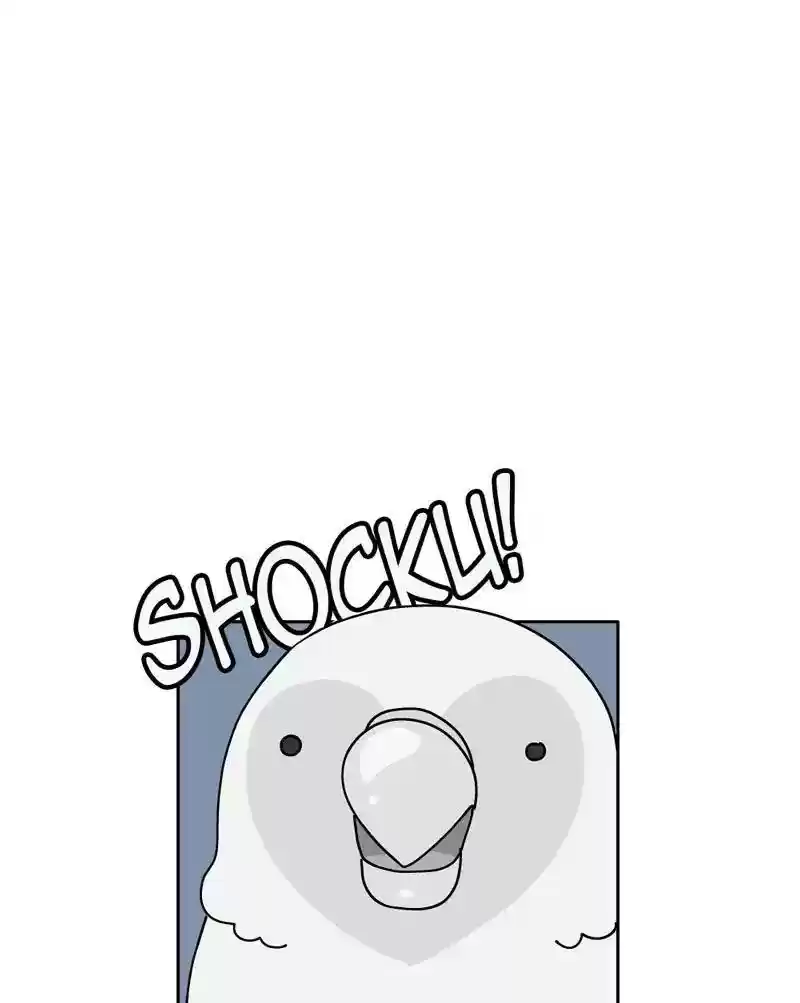A Budgie's Life Chapter 316: Ep.315: