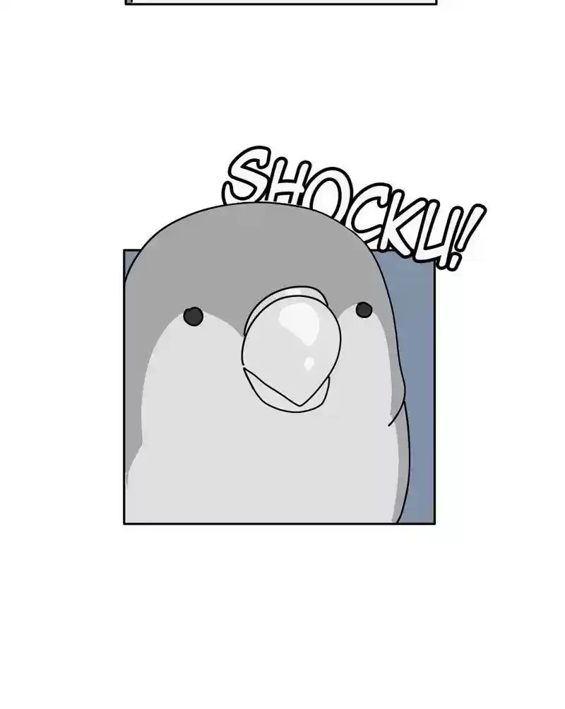 A Budgie's Life Chapter 316: Ep.315: