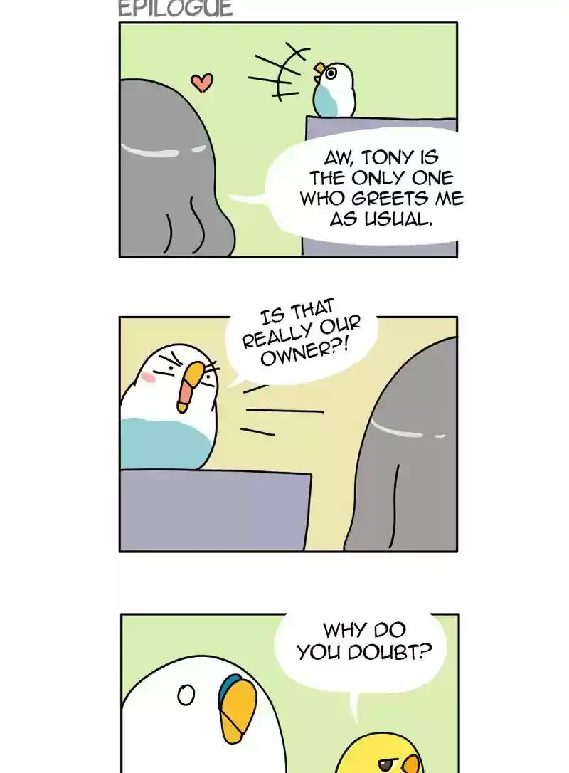 A Budgie's Life Chapter 316: Ep.315: