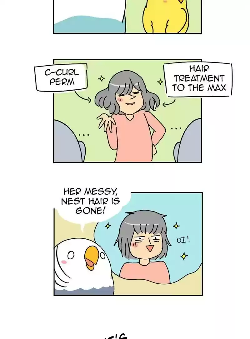 A Budgie's Life Chapter 316: Ep.315: