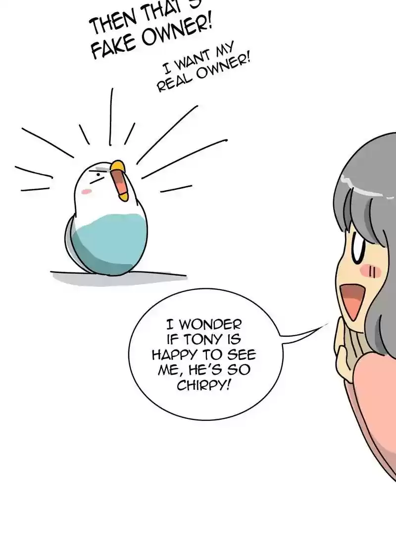 A Budgie's Life Chapter 316: Ep.315: