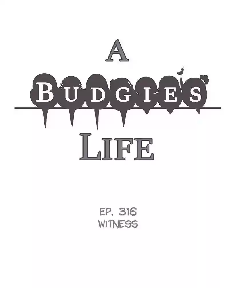 A Budgie's Life Chapter 317: Ep.316: