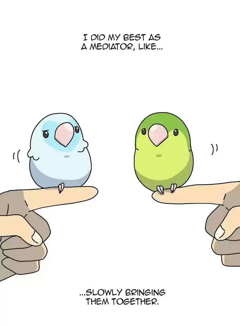 A Budgie's Life Chapter 317: Ep.316: